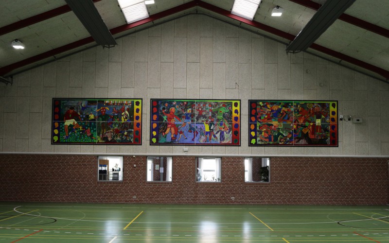 halleri2