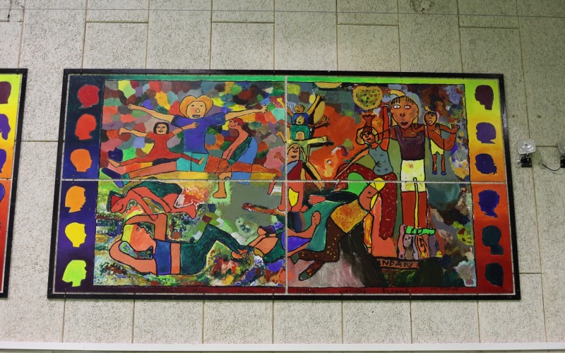 halleri6